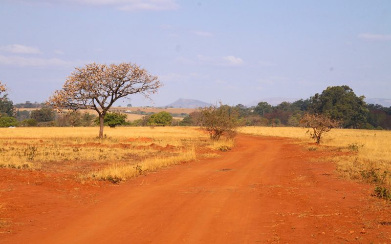 Mlilwane wildlife sanctuary, Swaziland