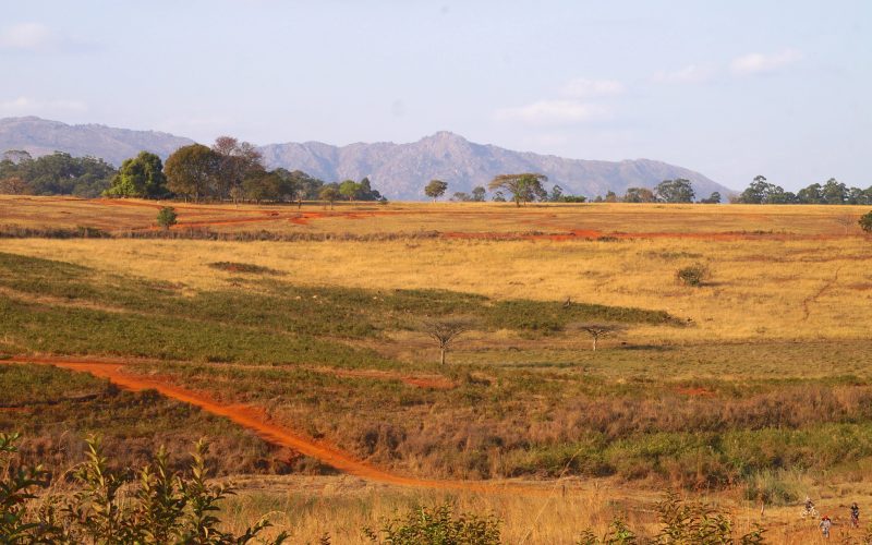 Mlilwane Wildlife Sanctuary, Swaziland