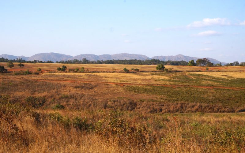 Mlilwane Wildlife Sanctuary, Swaziland