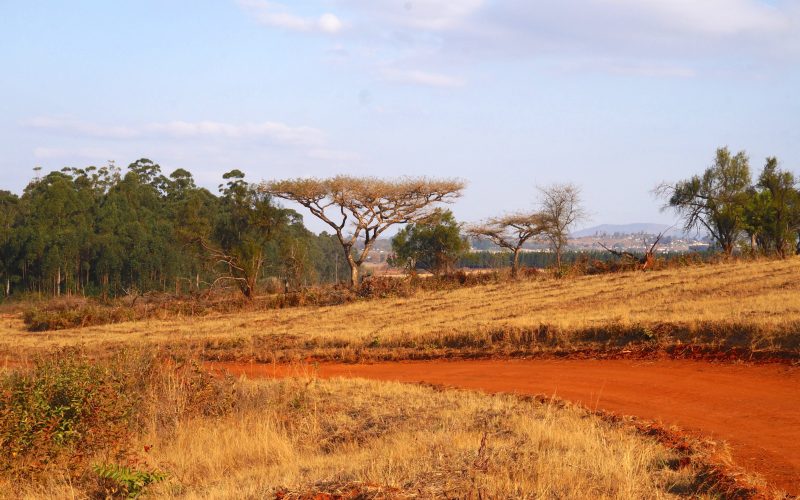 Mlilwane Wildlife Sanctuary, Swaziland