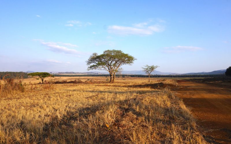 Mlilwane Wildlife Sanctuary, Swaziland