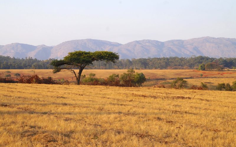 Mlilwane wildlife sanctuary, Swaziland