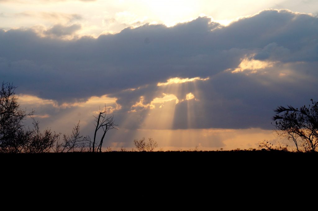 coucher de soleil, afrique du sud, parc kruger