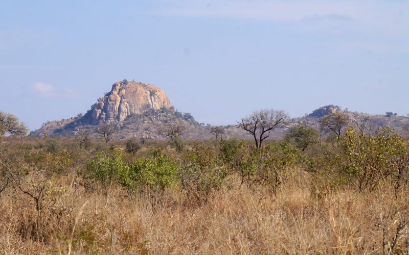 parc kruger, afrique du sud