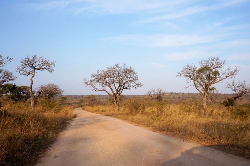 parc kruger, afrique du sud