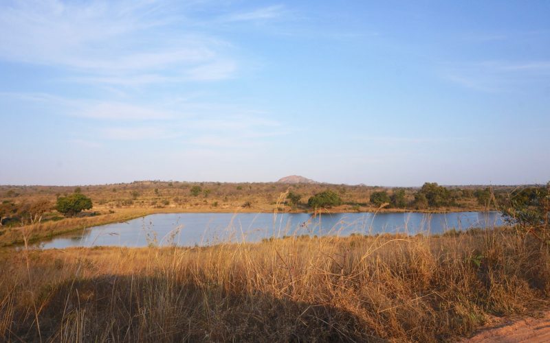 parc kruger, afrique du sud