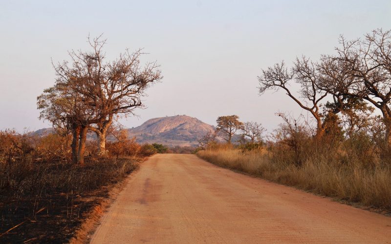 parc kruger, afrique du sud