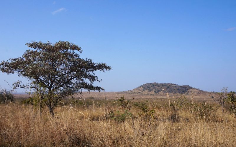 parc kruger, afrique du sud