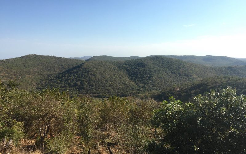 Lodge Zulu Nyala heritage, afrique du sud