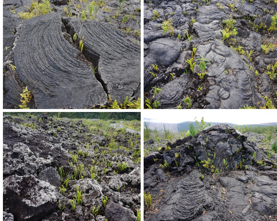 coulée de lave, île de la réunion