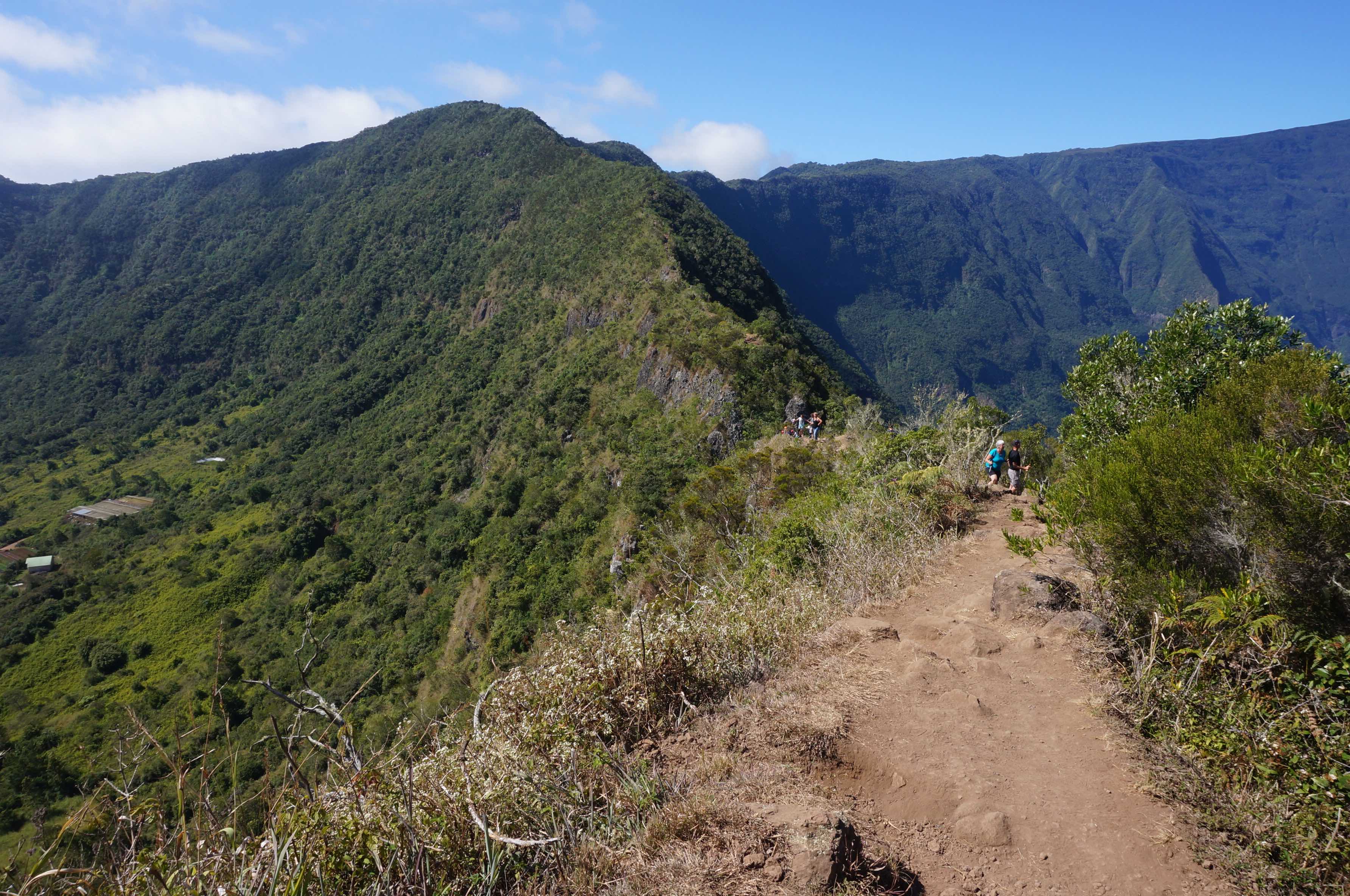 randonnée dos d'âne, île de la réunion