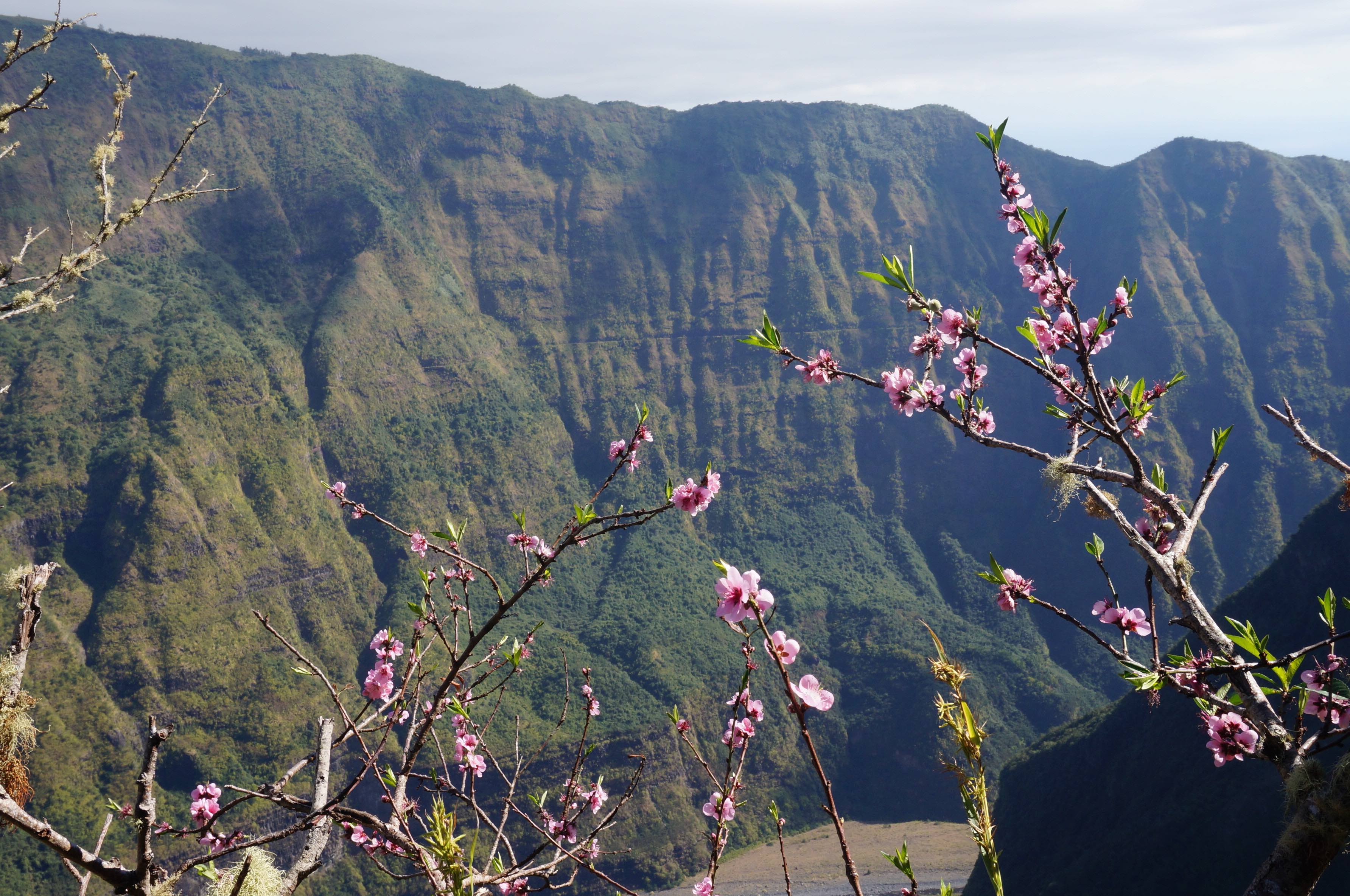 randonnée dos d'âne, île de la réunion