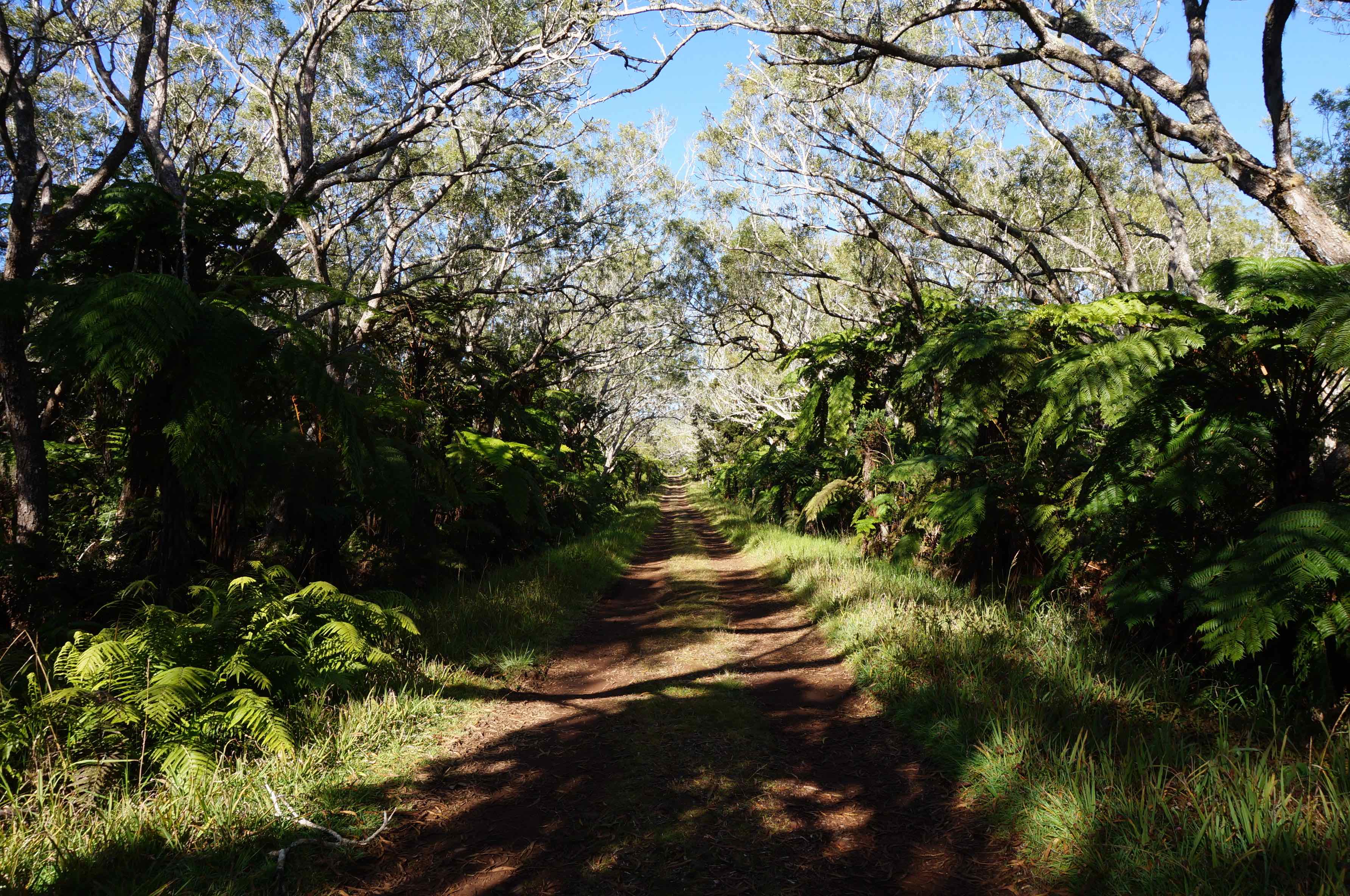 rando trou de fer réunion