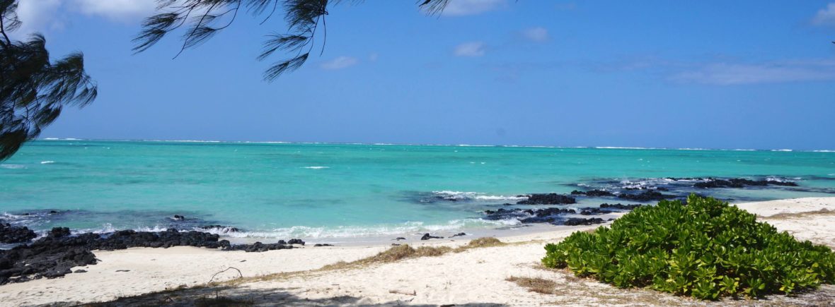 ile aux cerfs, ile maurice