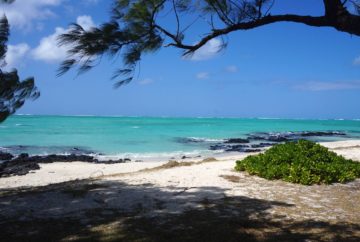 ile aux cerfs, ile maurice