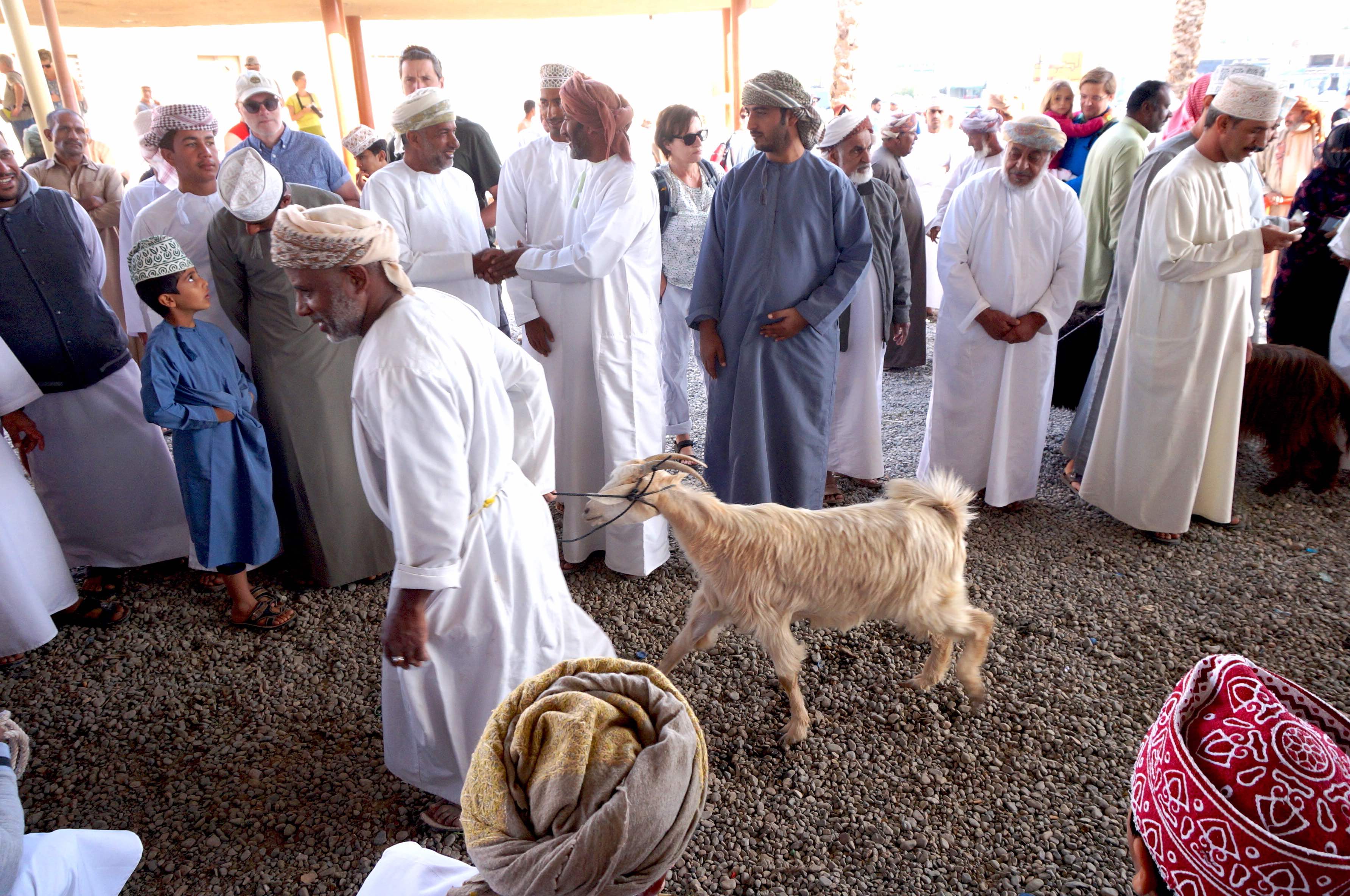 marché aux bestiaux, oman, nizwa