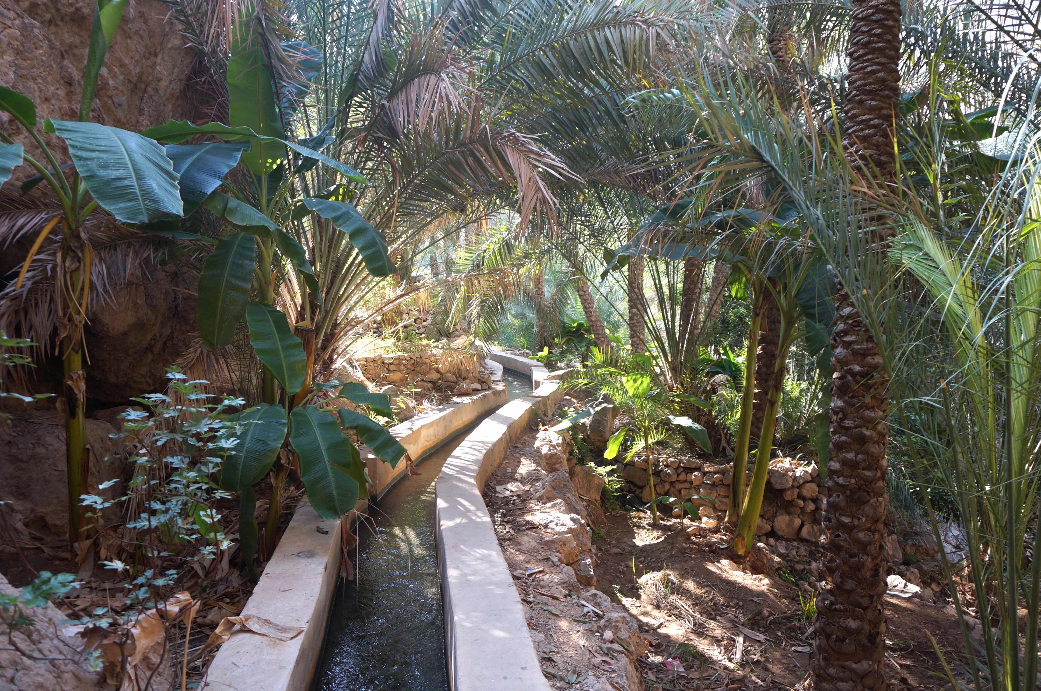 wadi tiwi, oman