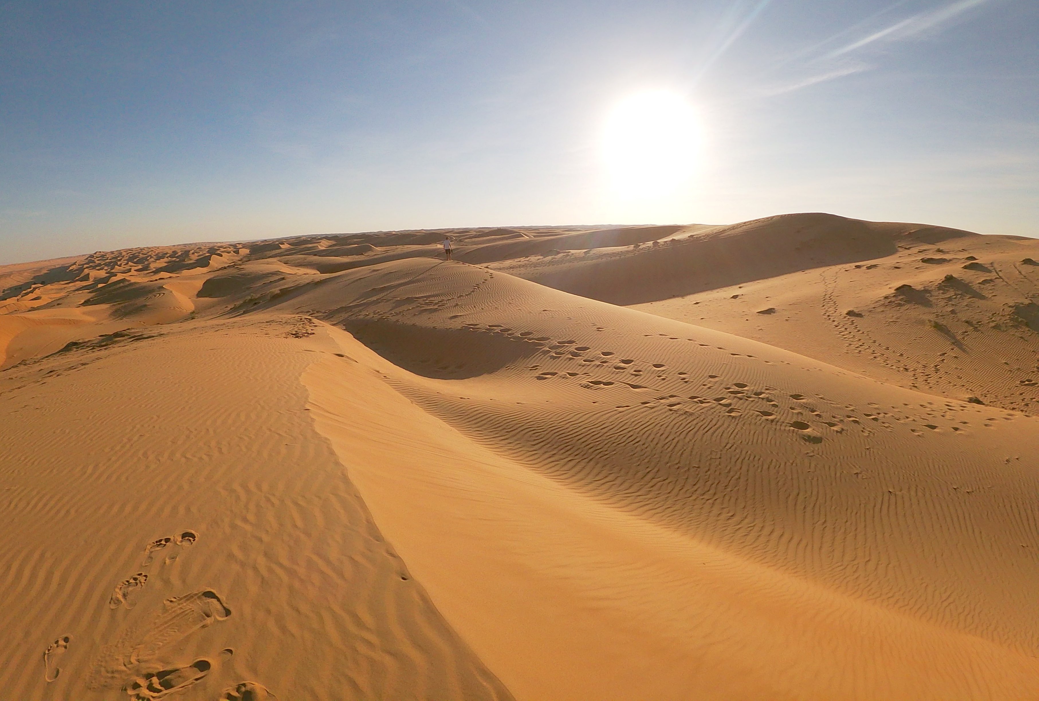 desert wahiba sands, oman