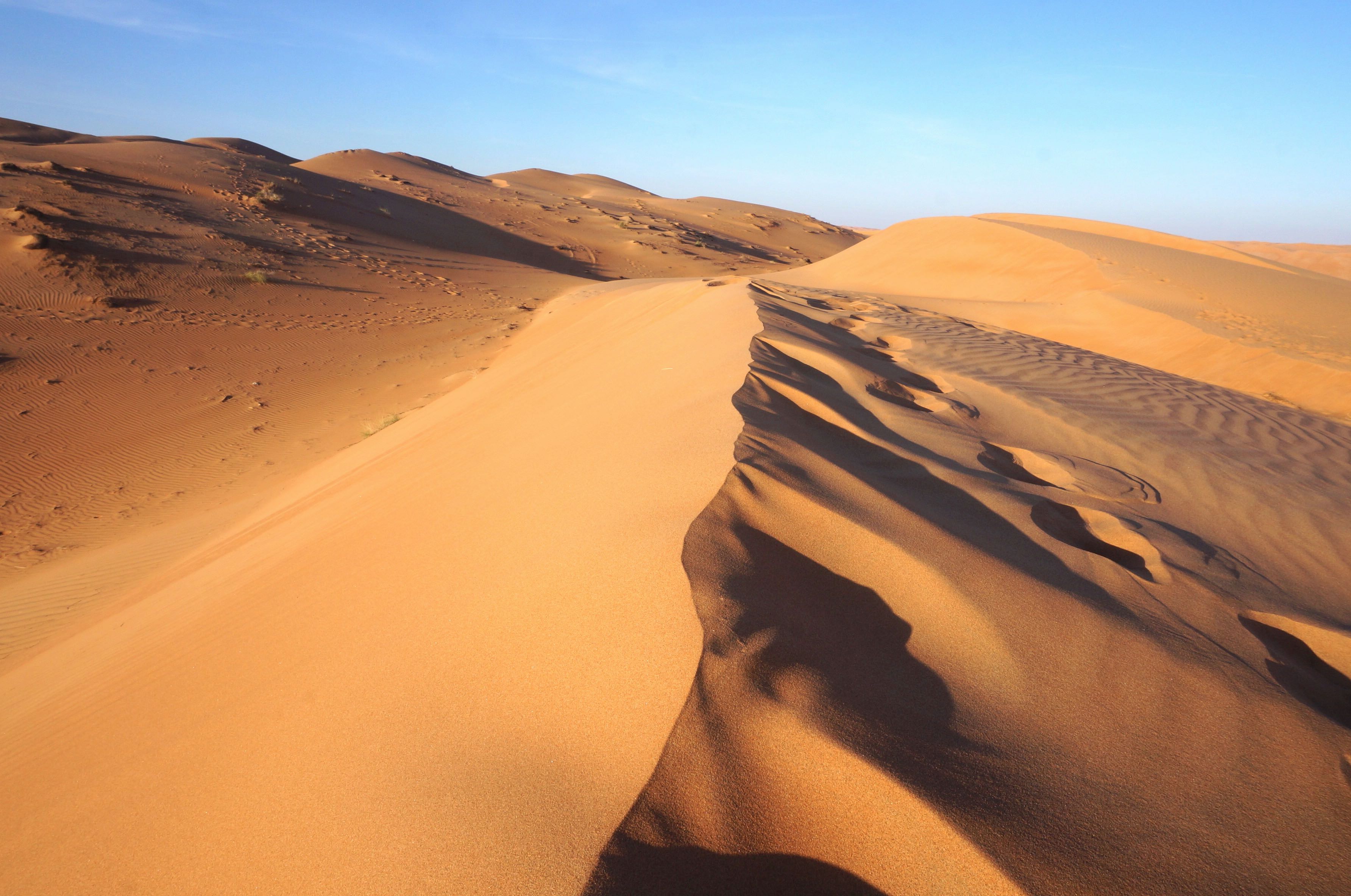 desert wahiba sands, oman