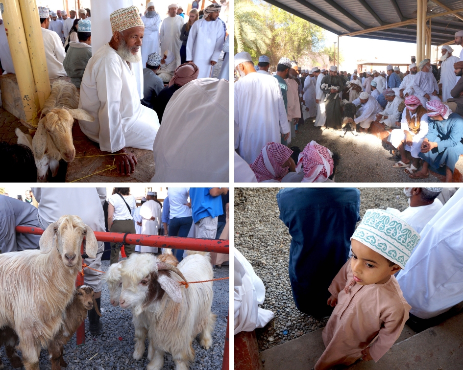 marché aux bestiaux, nizwa, oman