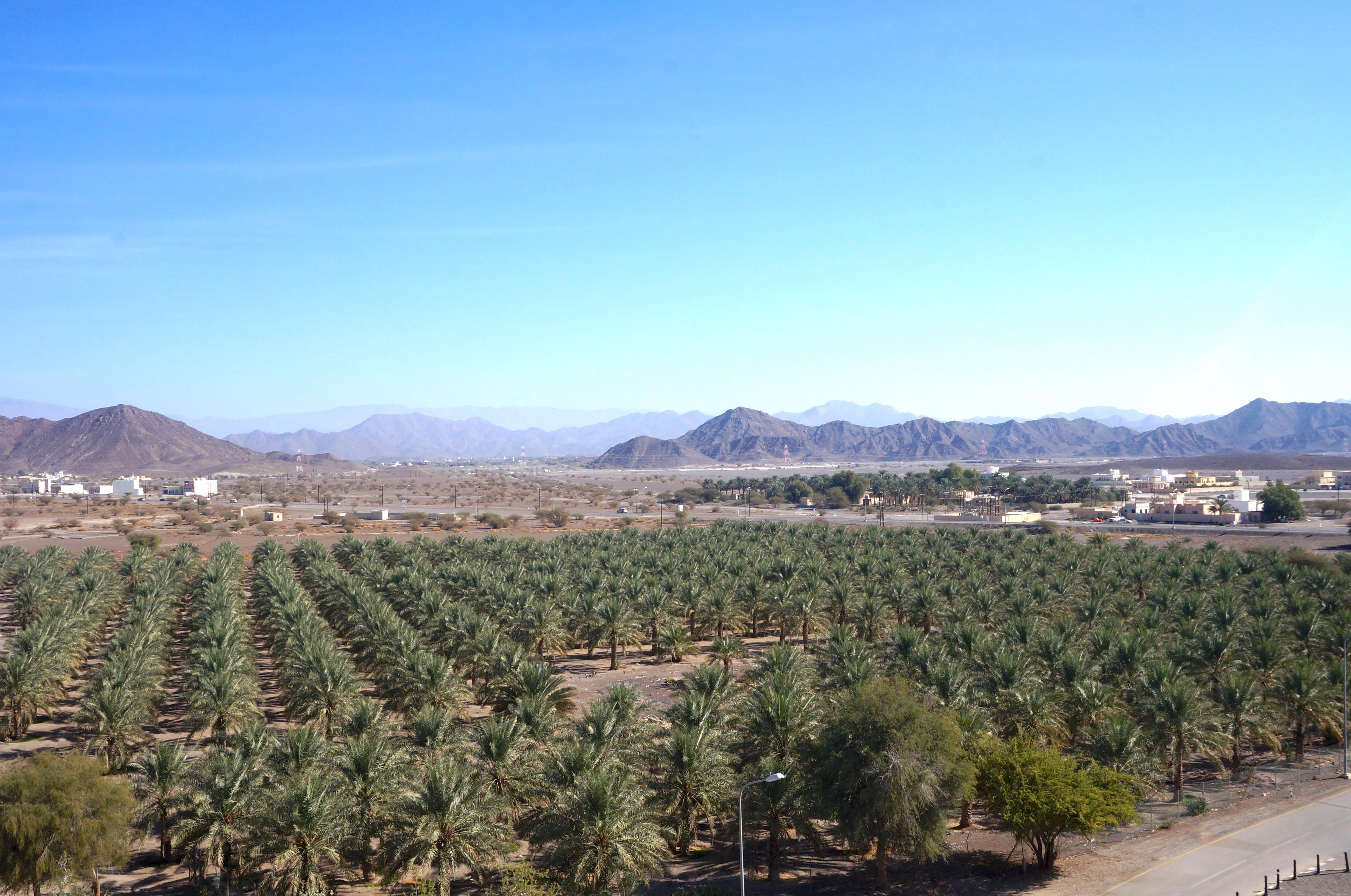 chateau de jabrin, nizwa, oman