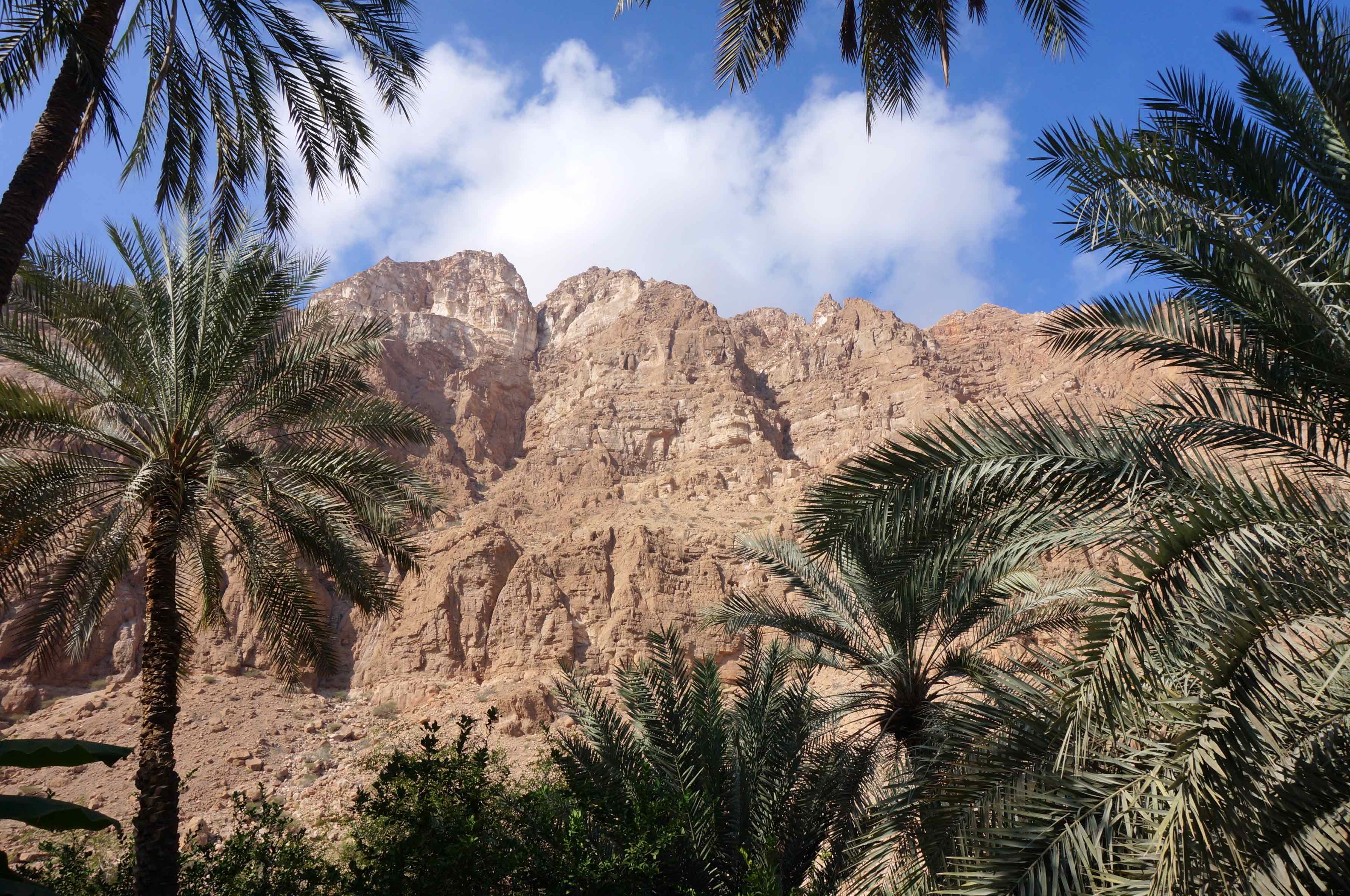 wadi tiwi, oman