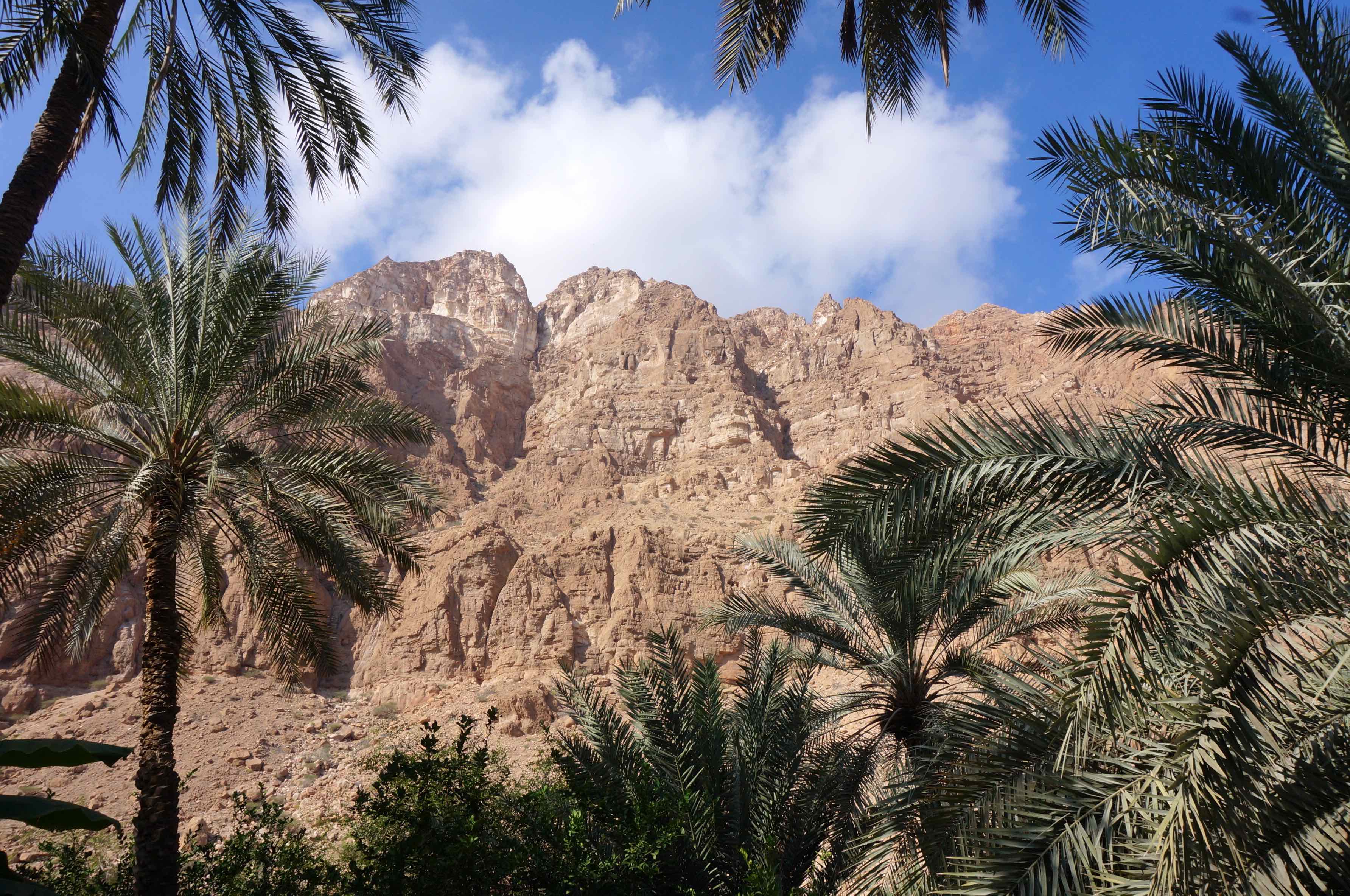 wadi tiwi, oman