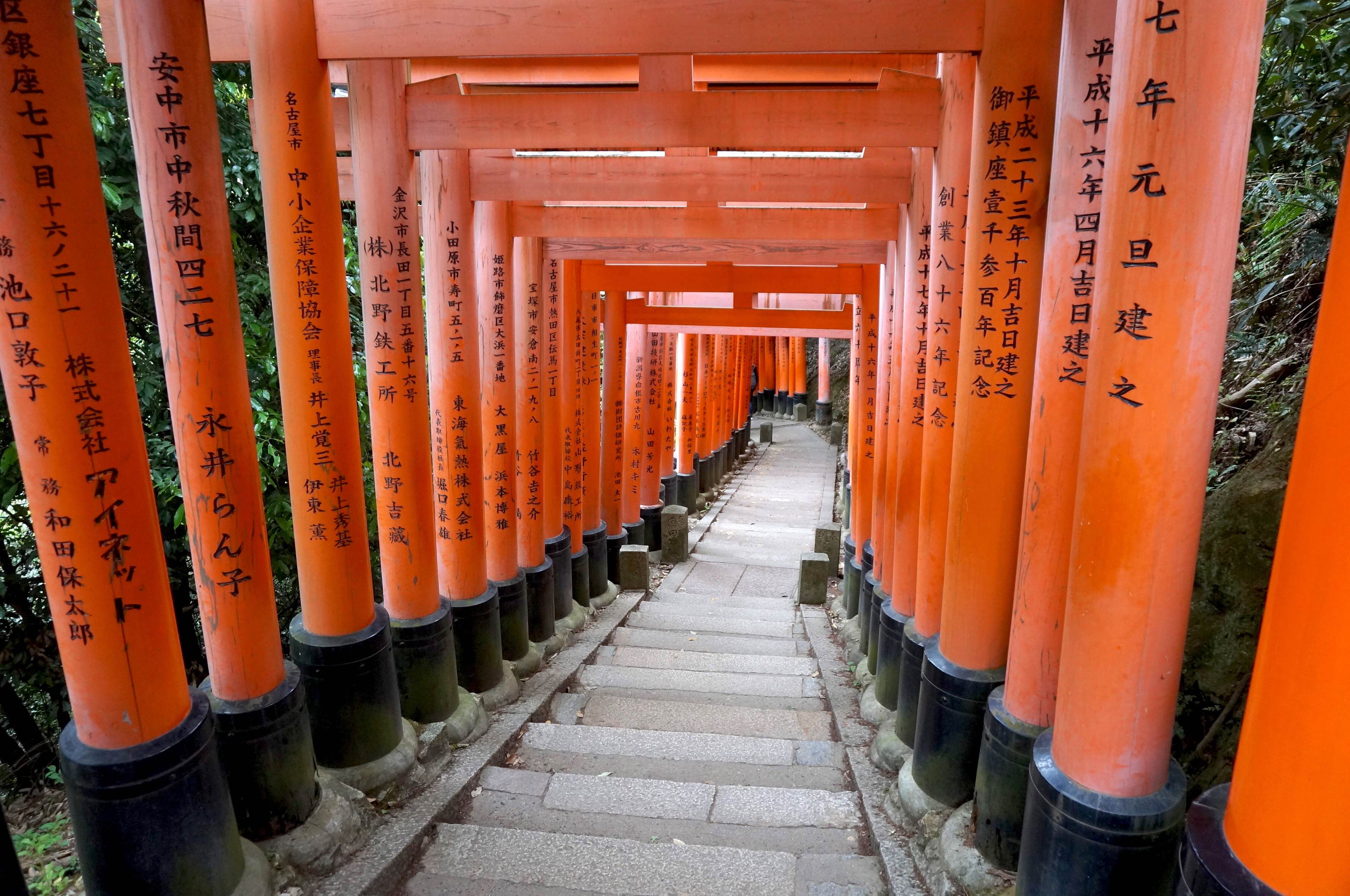 kyoto, fushimi-inari, japon