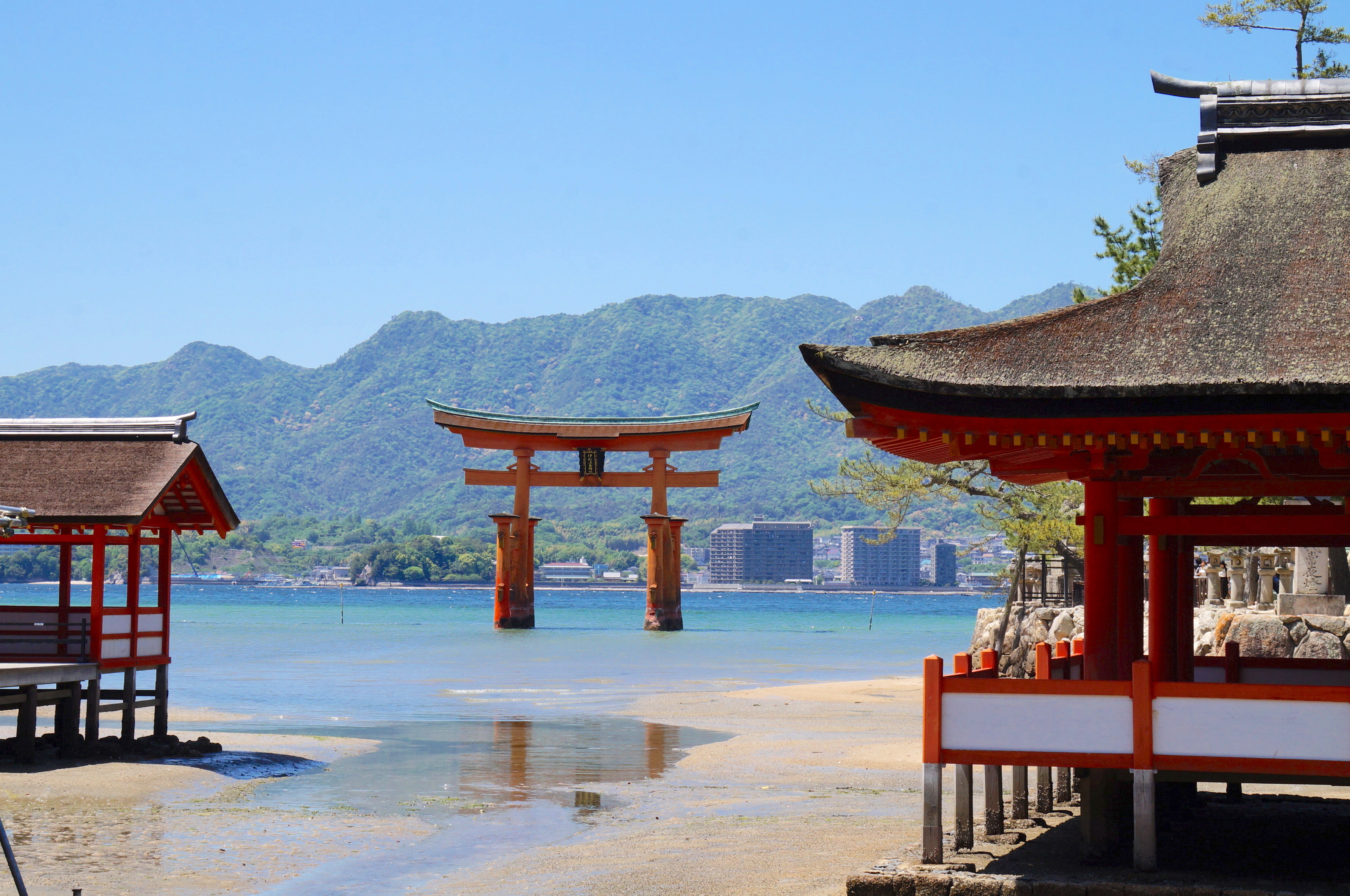 torii, ile de miyajima, japon