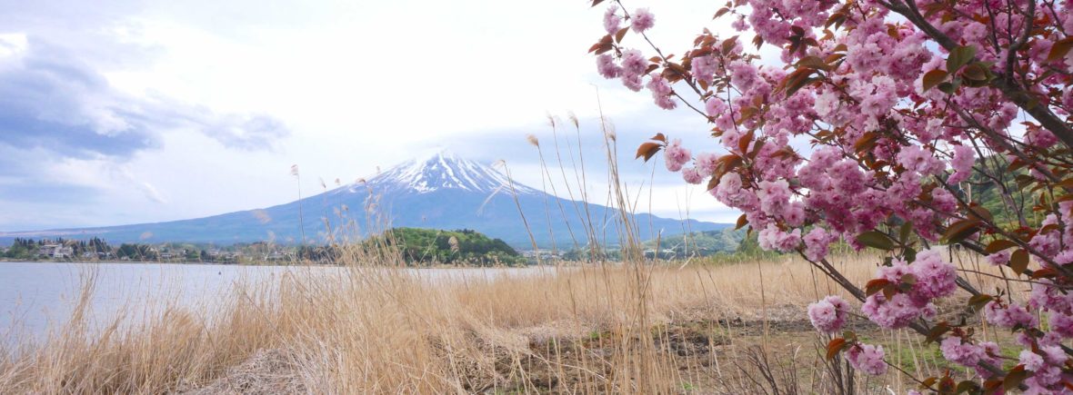 mont fuji, japon