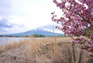 mont fuji, japon