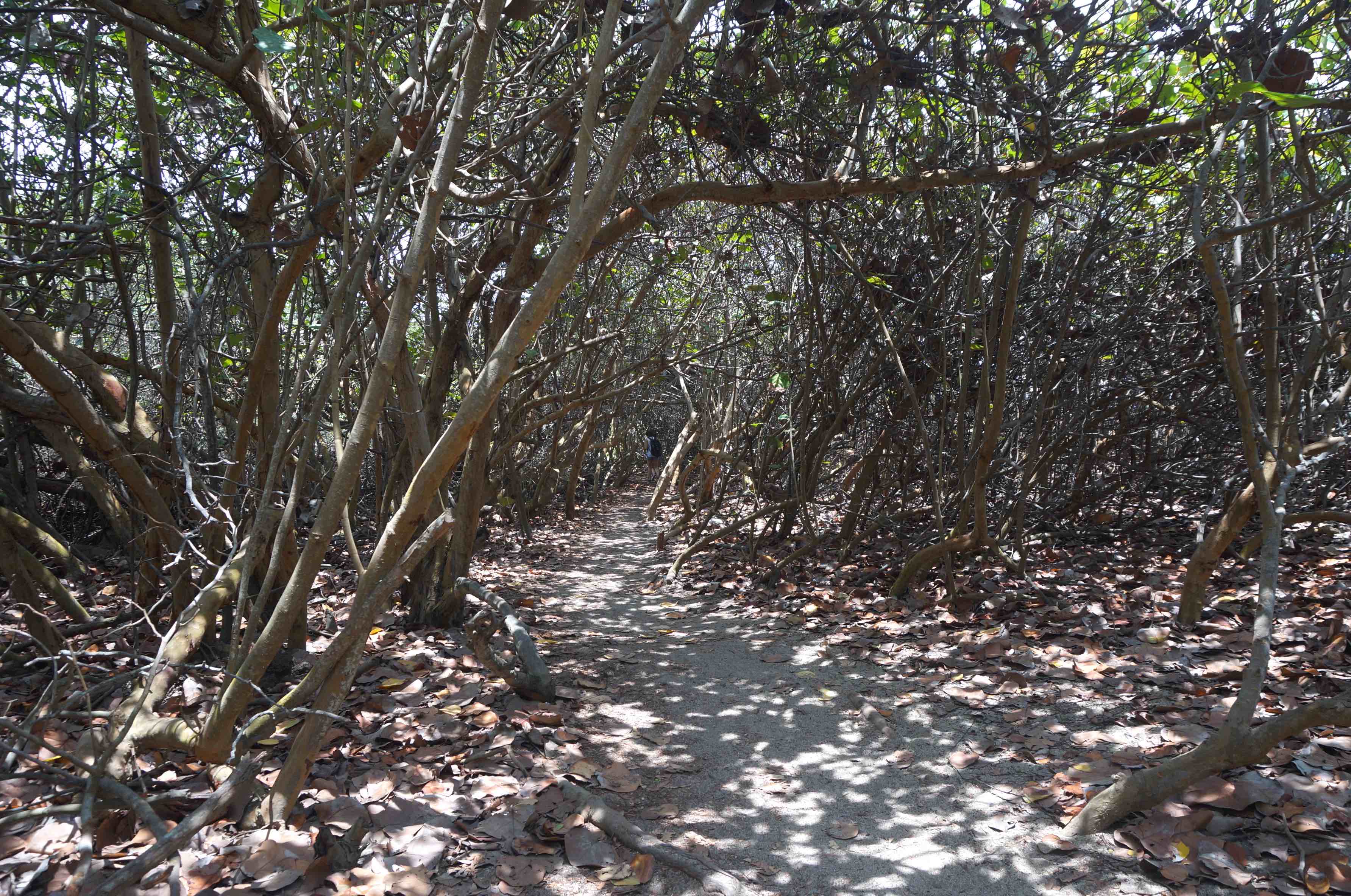 parc de tayrona, santa marta, colombie