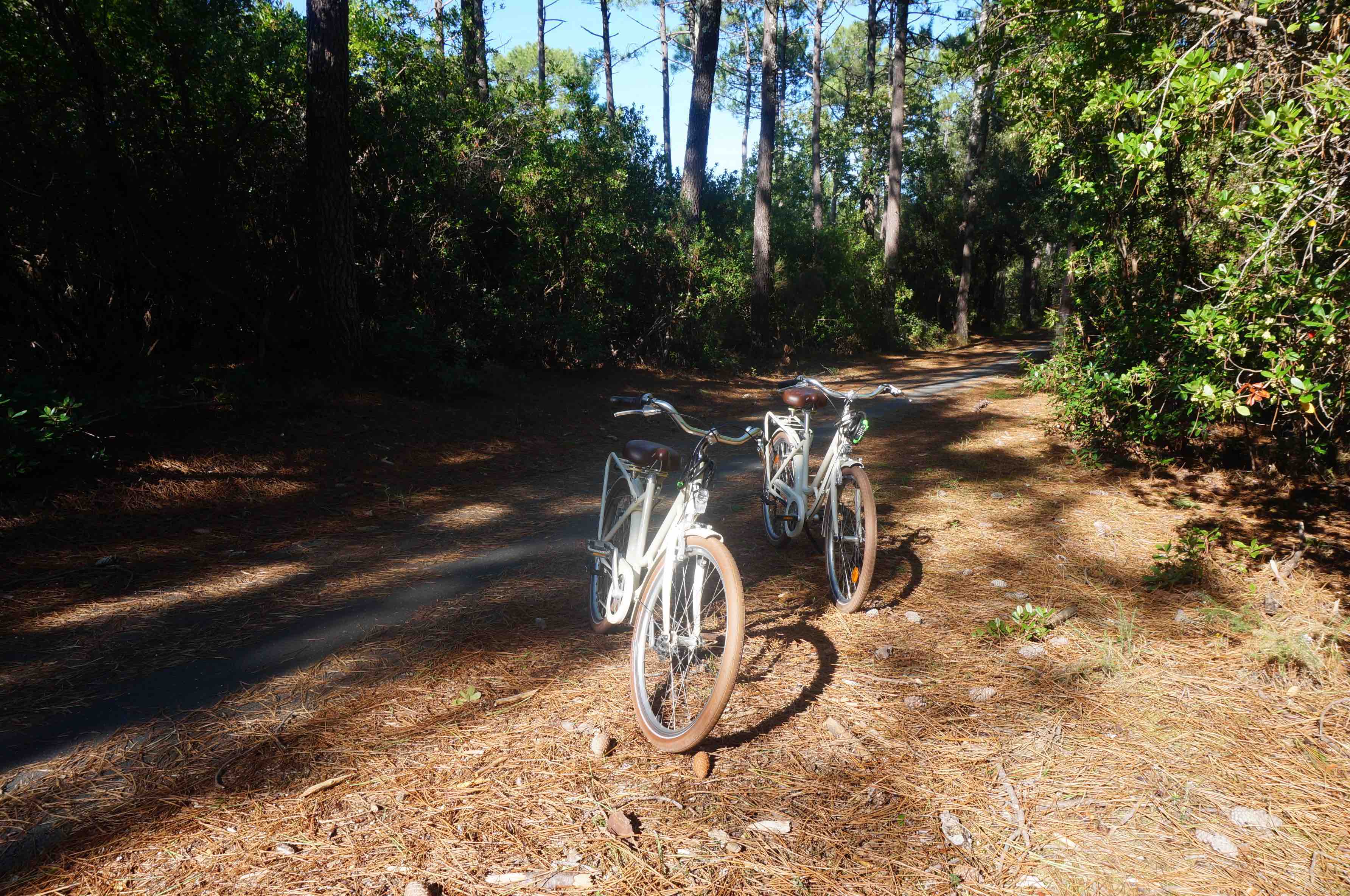 vélo au cap ferret, arcachon