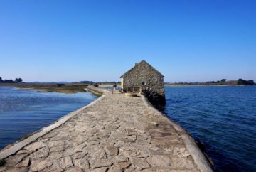 Bretagne, golfe du morbihan, ile d'arz