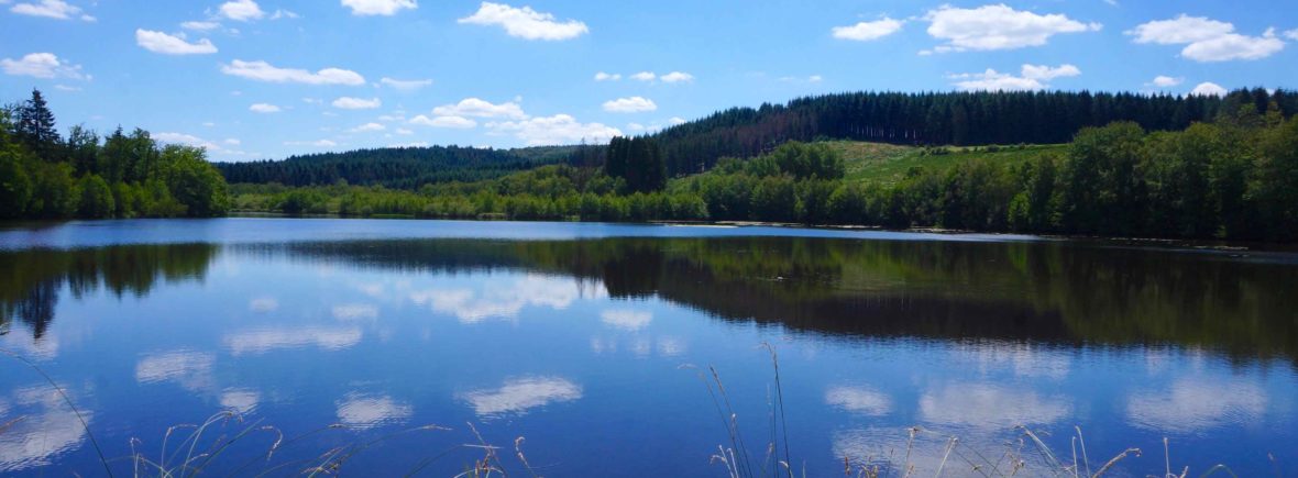 morvan, bourgogne, lac saint agnan