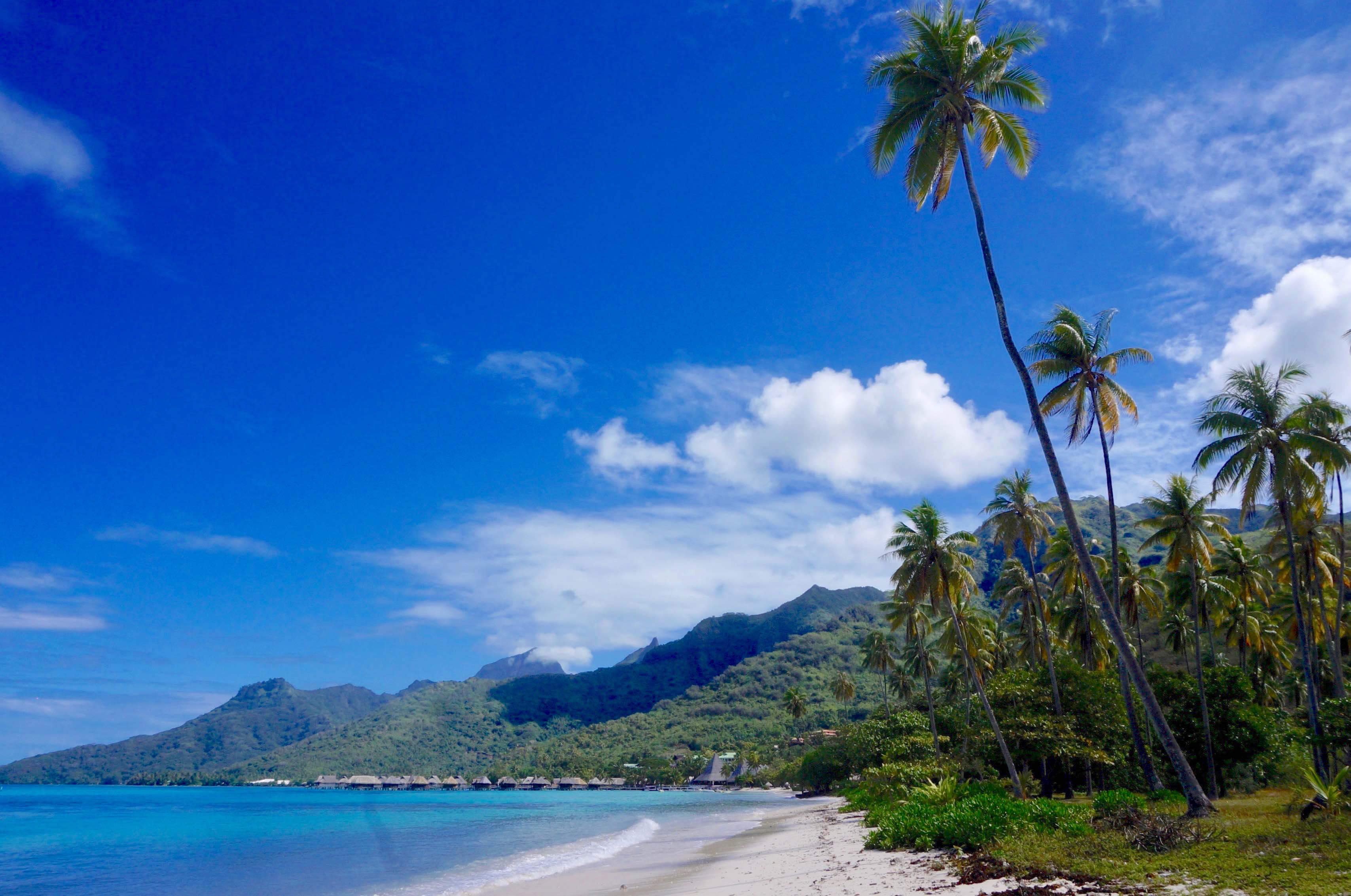 Polynesie, moorea, plage de temae