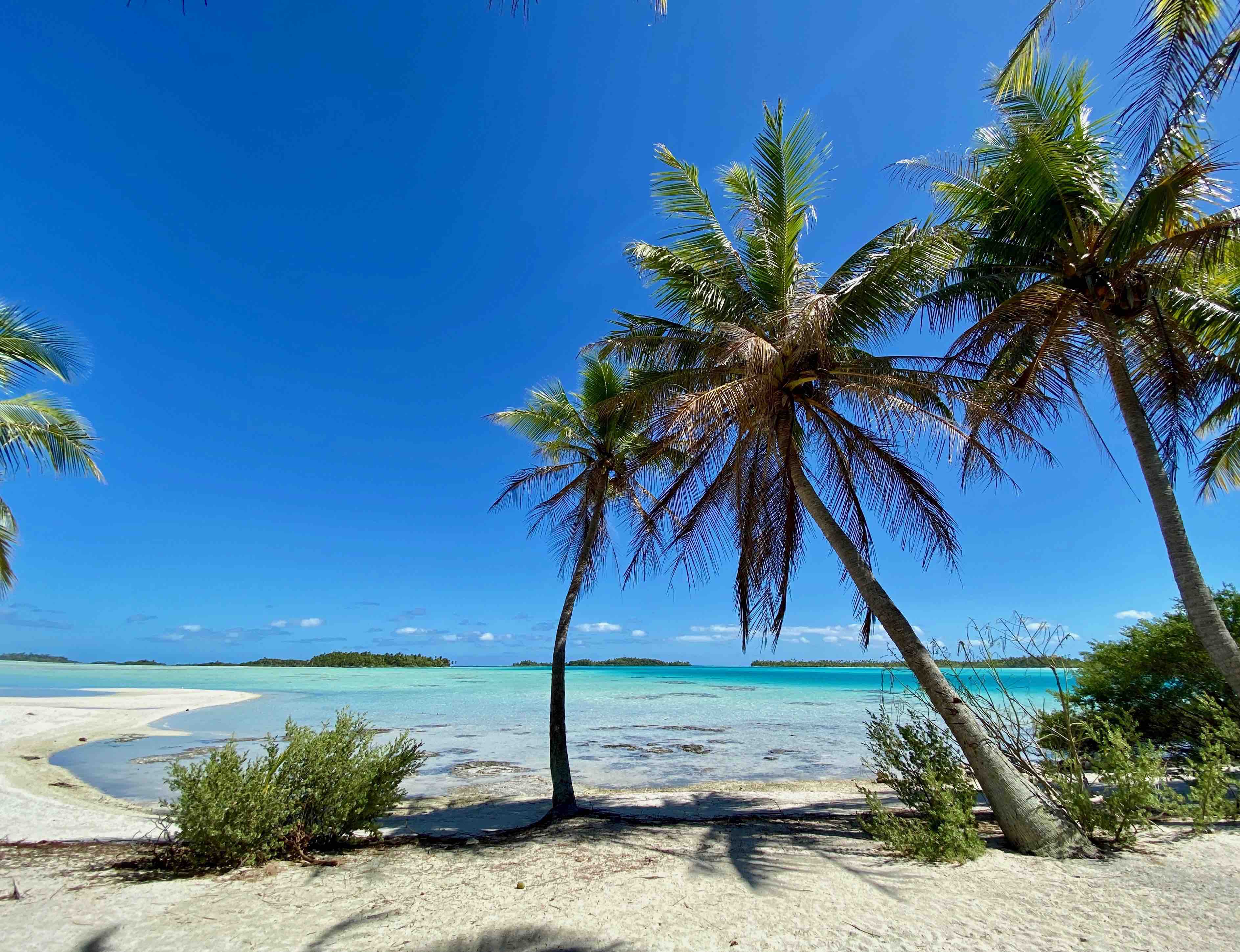 Rangiroa, lagon bleu, polynésie française