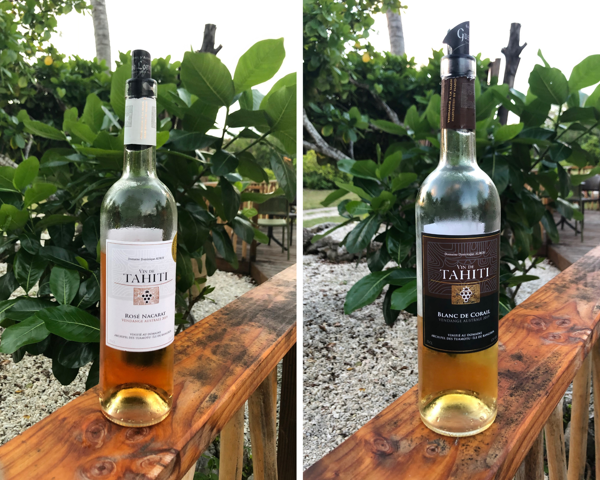 Rangiroa, vin de tahiti, polynésie française, tuamotu