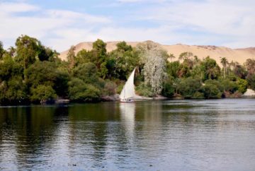 Balade en felouque le long du nil, egypte