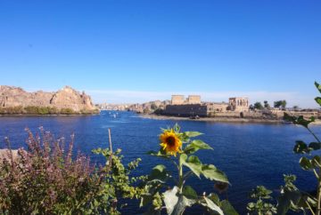 Temple de Philae, Assouan, Egypte