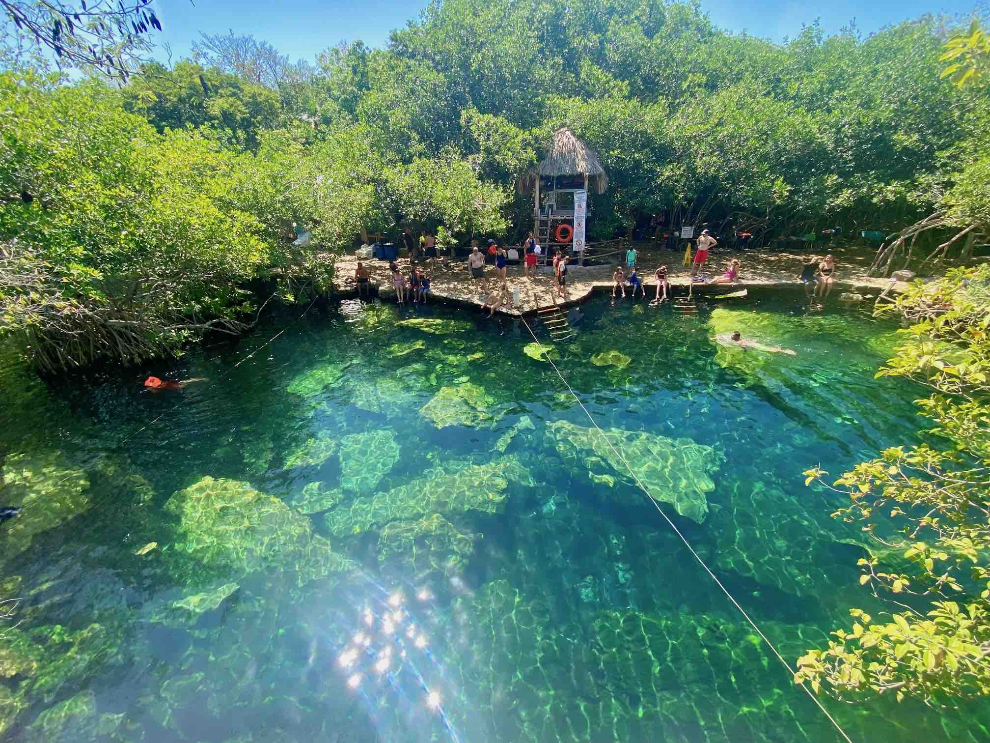 Cenote cristalinos, Playa del carmen, mexique, yucatan