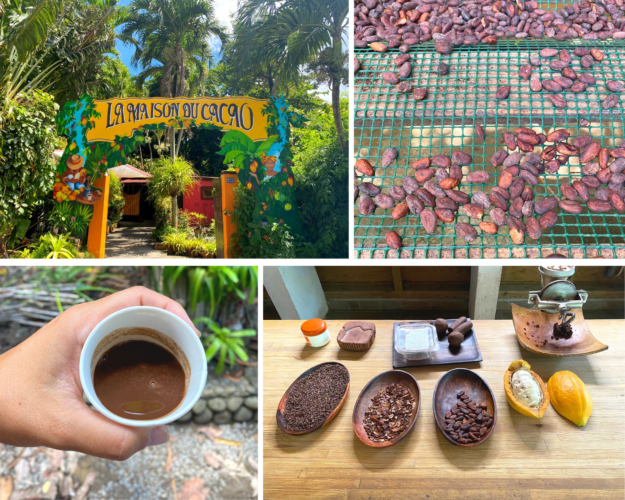 Maison du cacao, guadeloupe