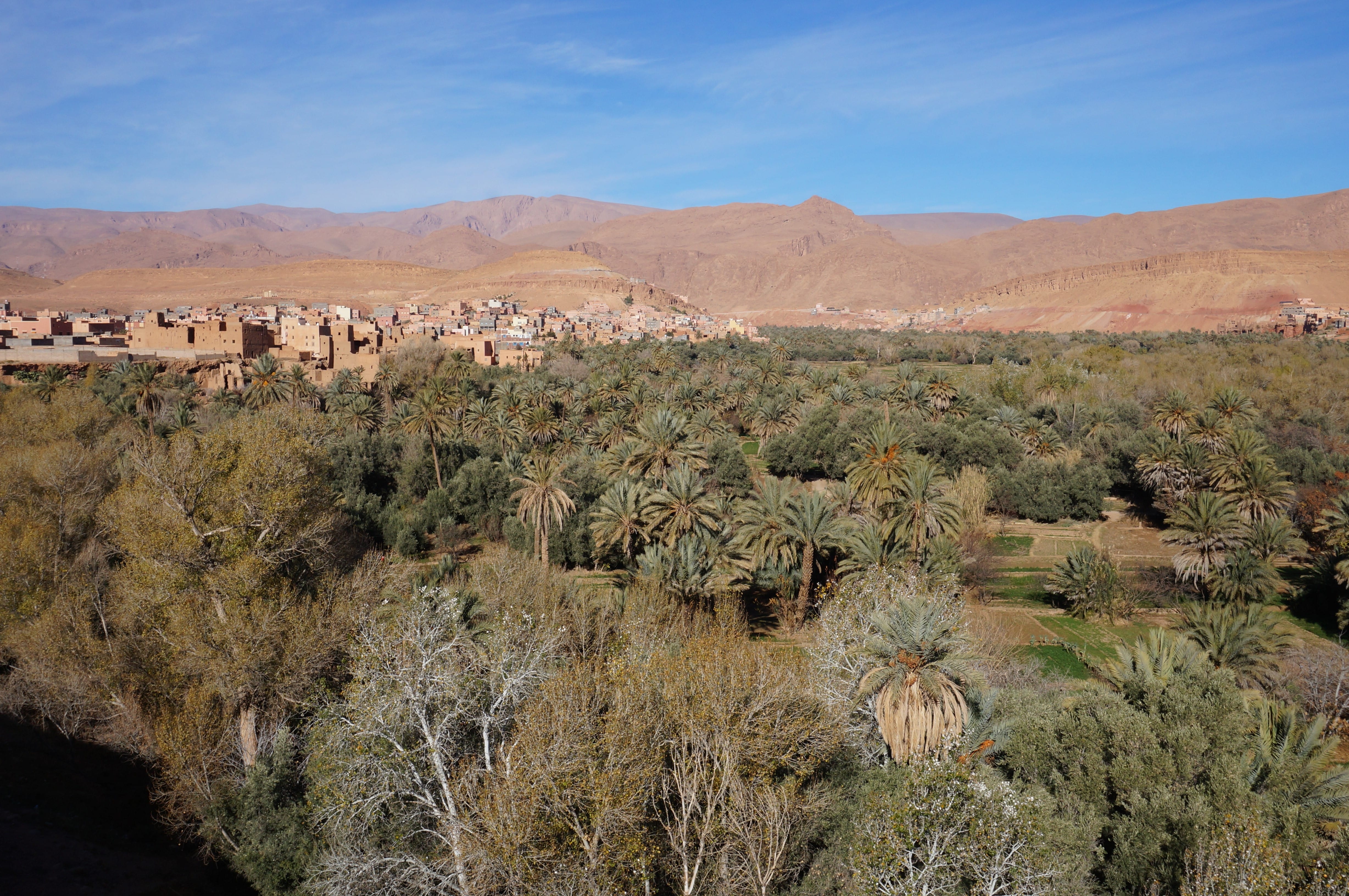 Palmeraie de Tineghir, Maroc