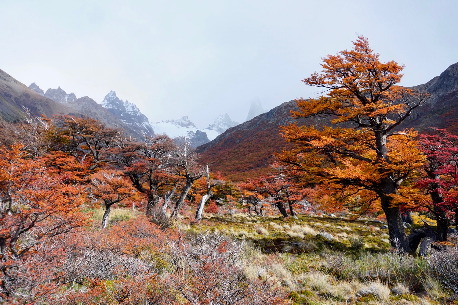 El chalten, randonnée fitz roy, laguna de los tres, patagonie, argentine