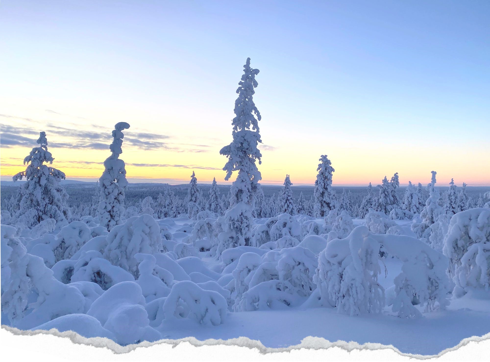 laponie, finlande, saariselka