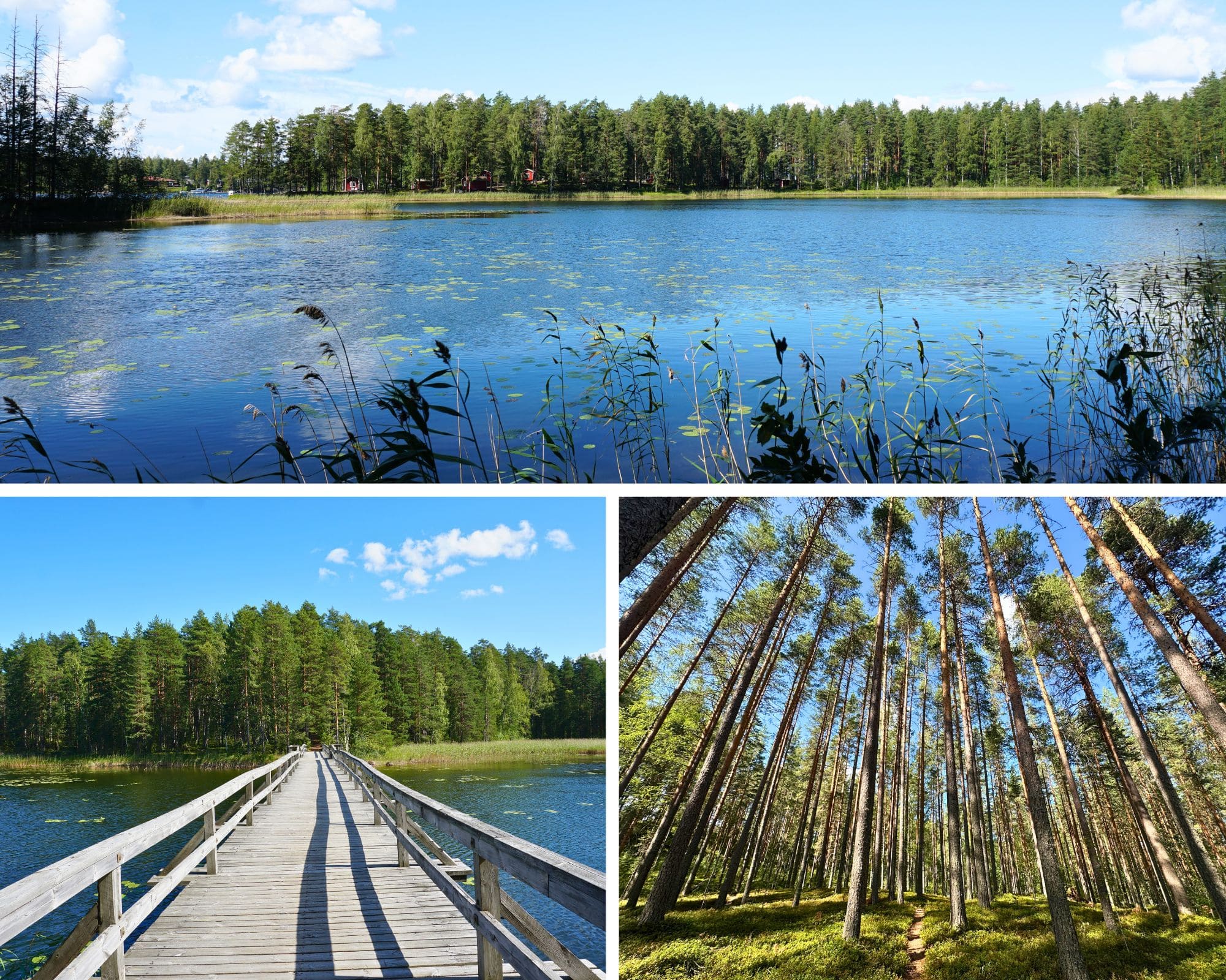 esker punkaharju, savonlinna, finlande