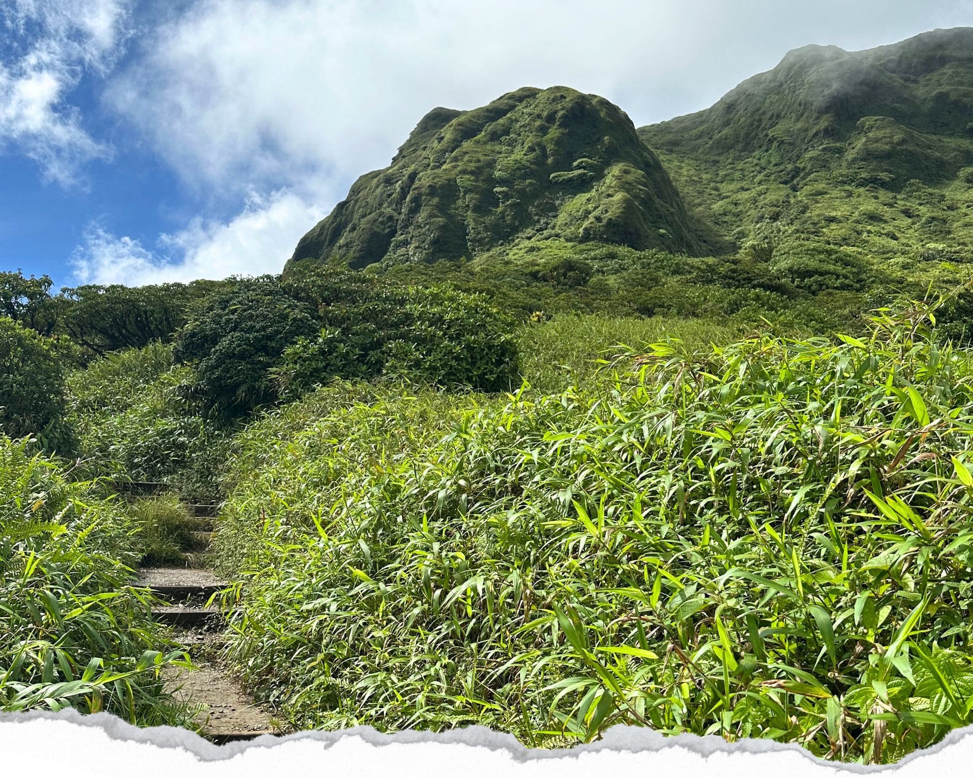 volcan pelée, martinique