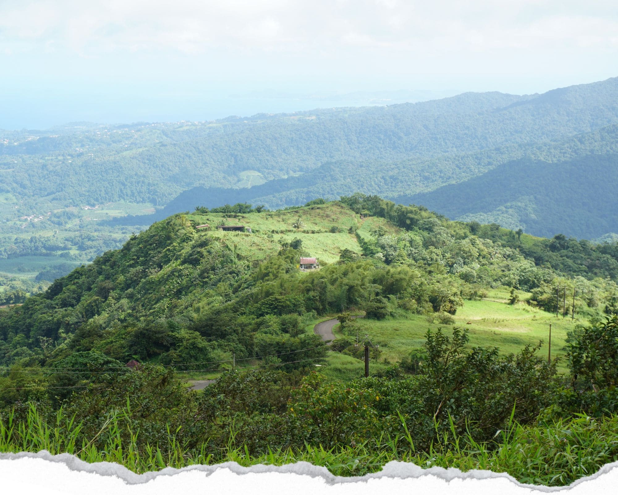 volcan pelée, martinique