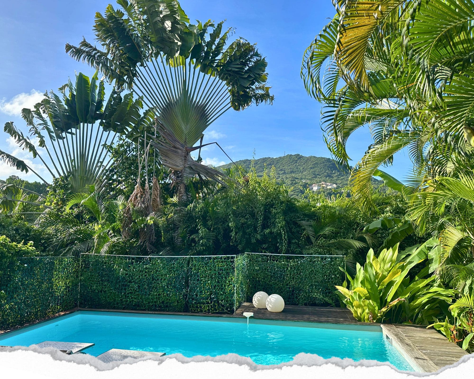 vue sur piscine de notre hébergement en martinique