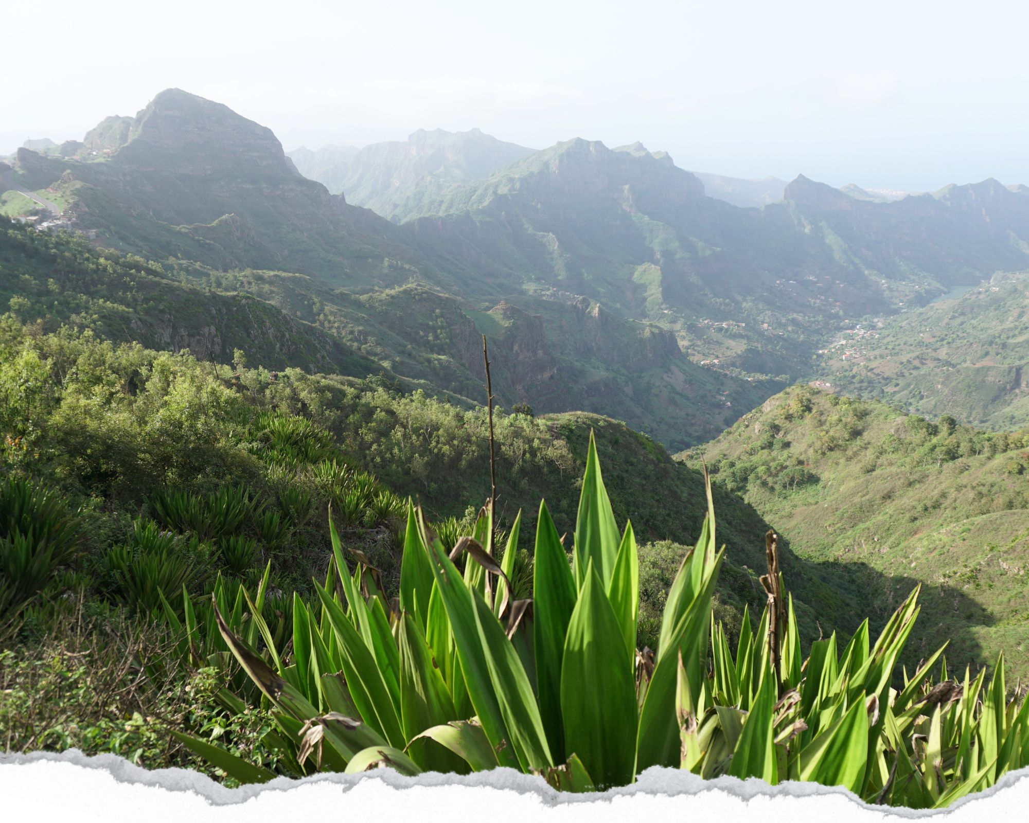 île de santiago, randonnée au parc naturel serra malagueta, cap-vert, cabo verde